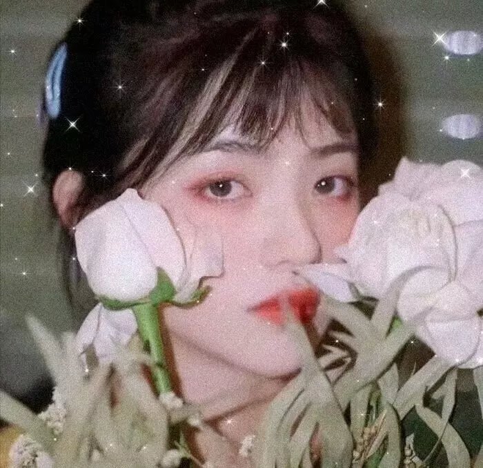 彼得兔