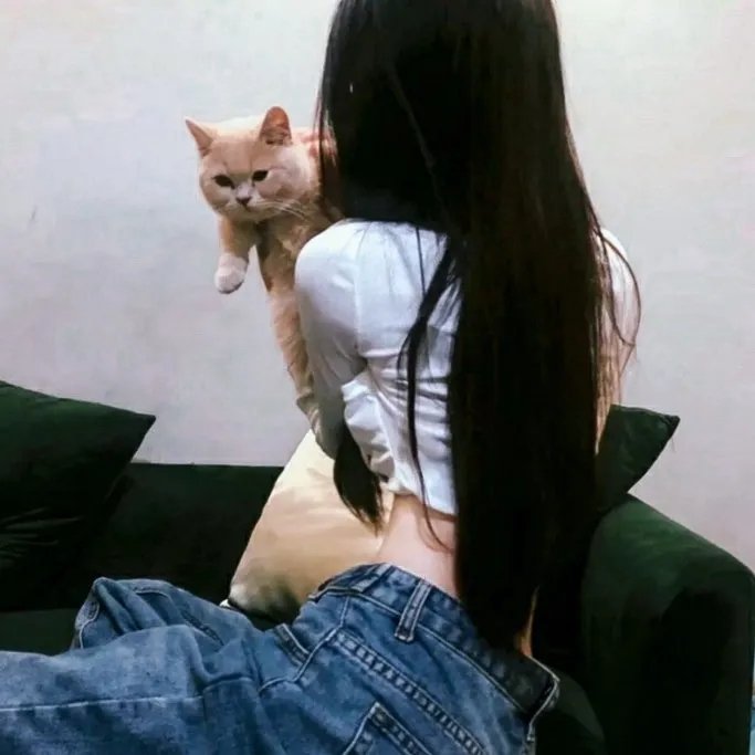 柠檬仙丹